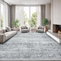Modern Gray Area Carpet