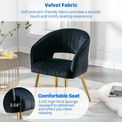 Modern Accent Dining Chairs Set of 2, Velvet Upholstered Dining Room Chairs with, Gold Metal Legs.