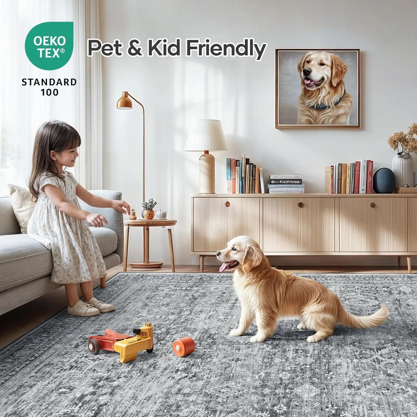 Modern Gray Area Carpet