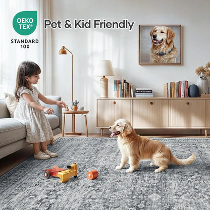 Modern Gray Area Carpet
